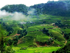 Mai chau